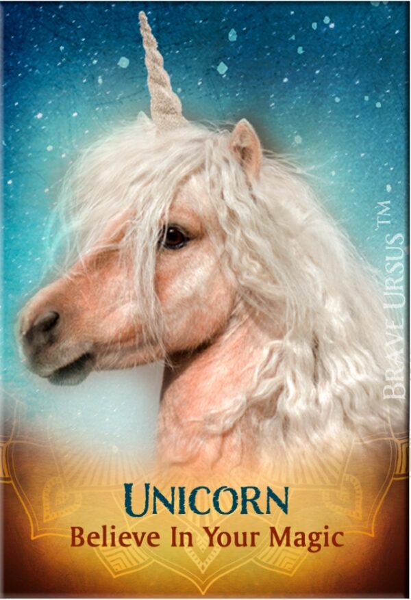 Unicorn 2 Magnet 2x3 643x940