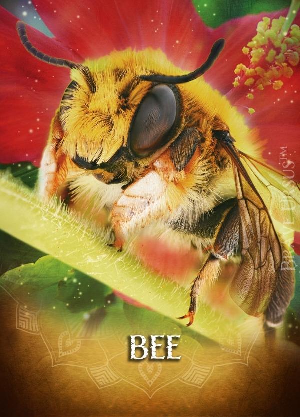 Bee Altar & Prayer Card 600x834