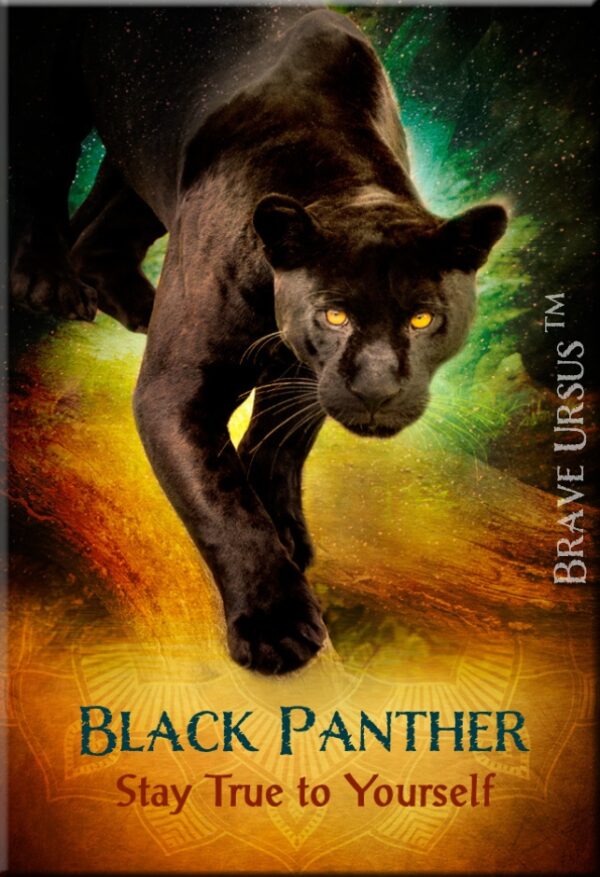 Black Panther Magnet 2x3 643x940