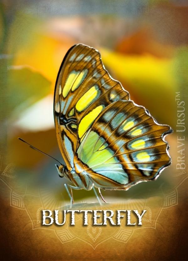 Butterfly Prayer & Altar Card 600x834