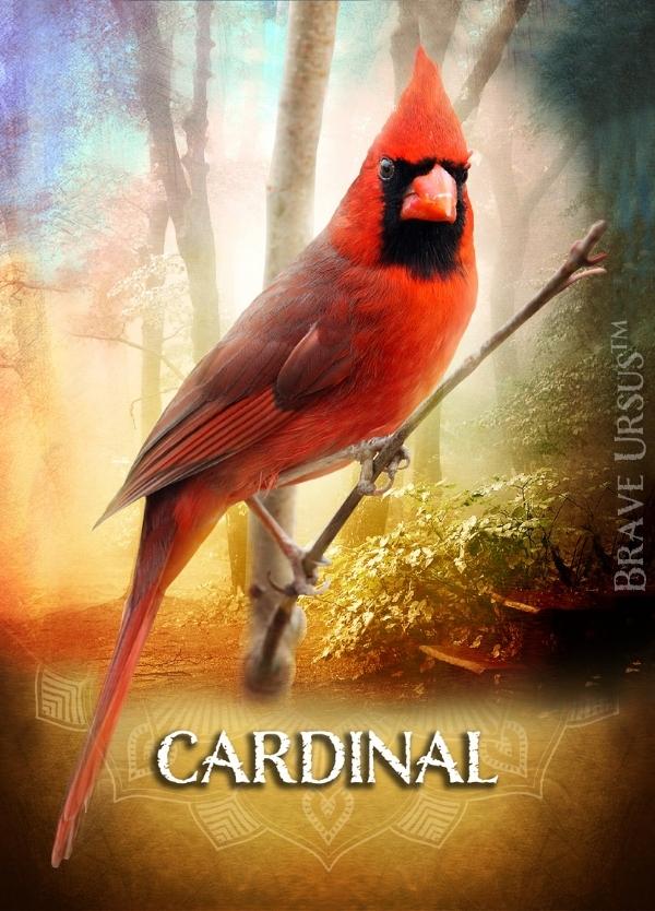 Cardinal Prayer & Altar Card 600x834