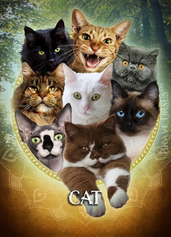 Cat Prayer & Altar Card 600x834