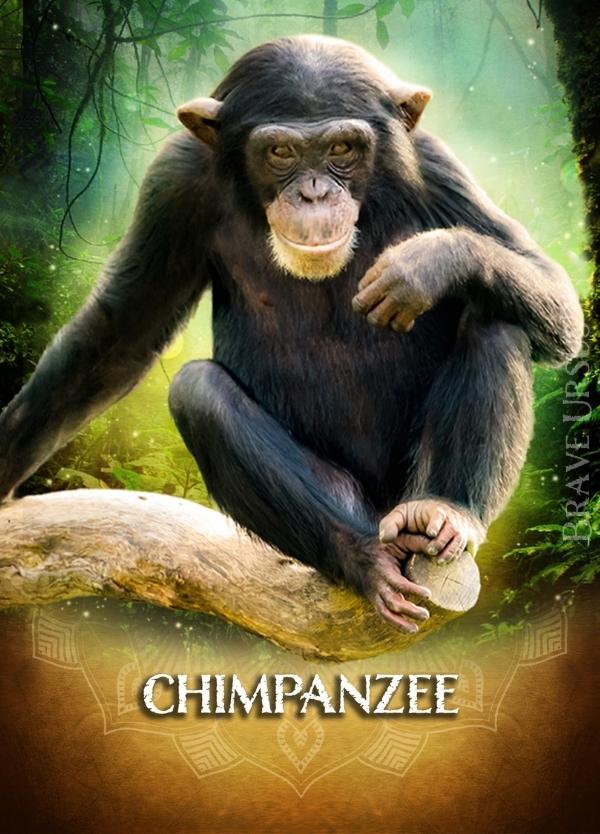 Chimpanzee Prayer & Altar Card 600x834