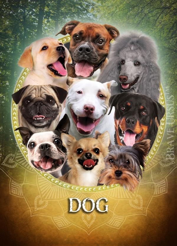 Dog Prayer & Altar Card 600x834