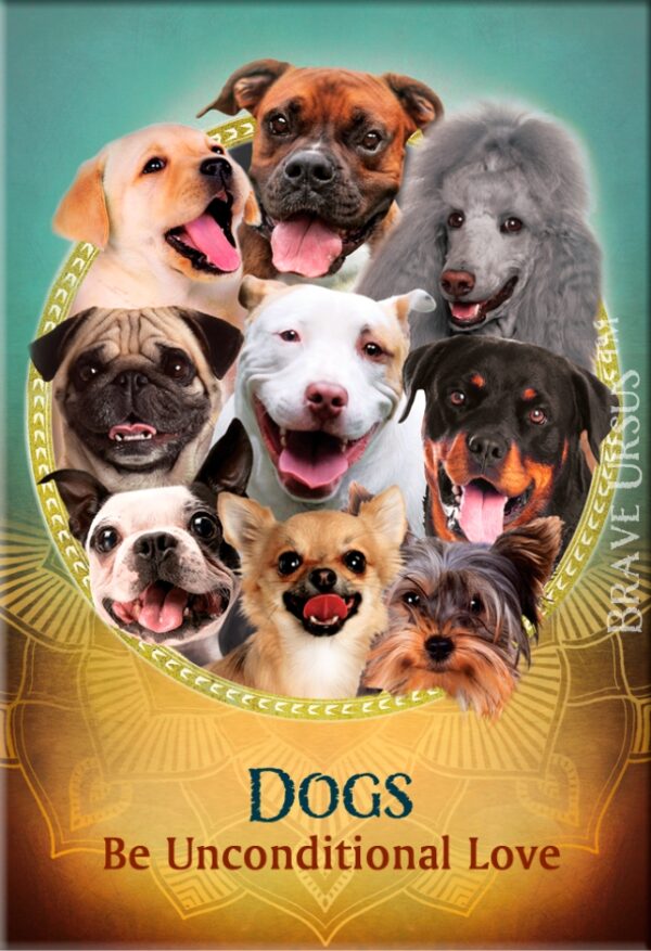 Dogs Magnet 2x3 643x640