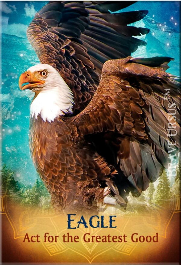 Eagle Magnet 2x3 643x940