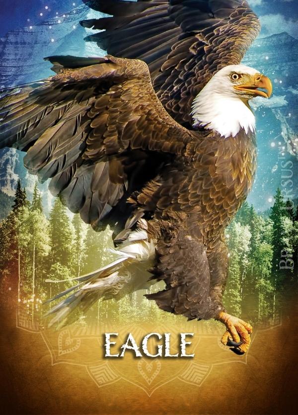 Eagle Prayer & Altar Card 600x834