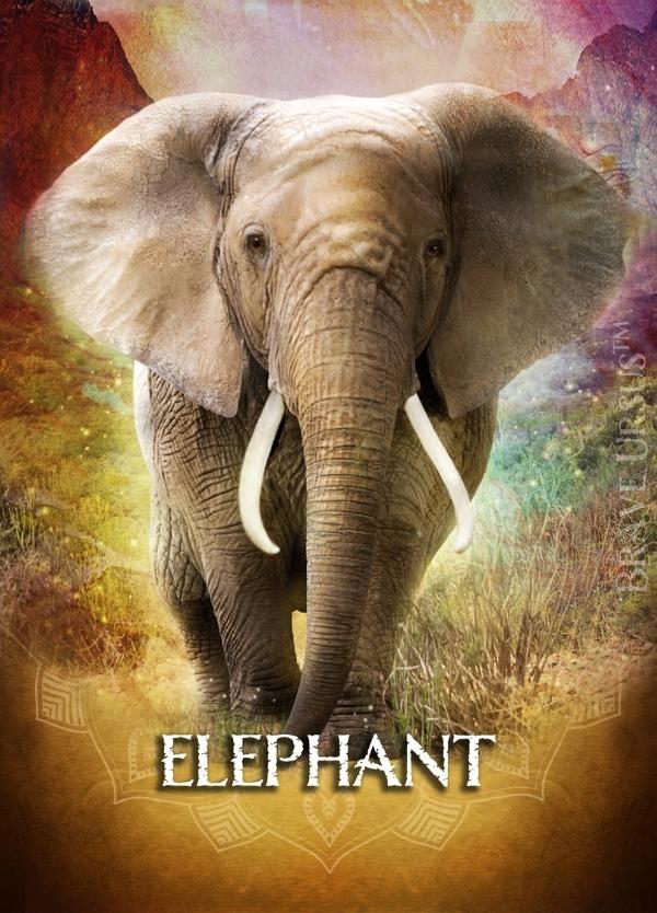 Elephant Prayer & Altar Card 600x834