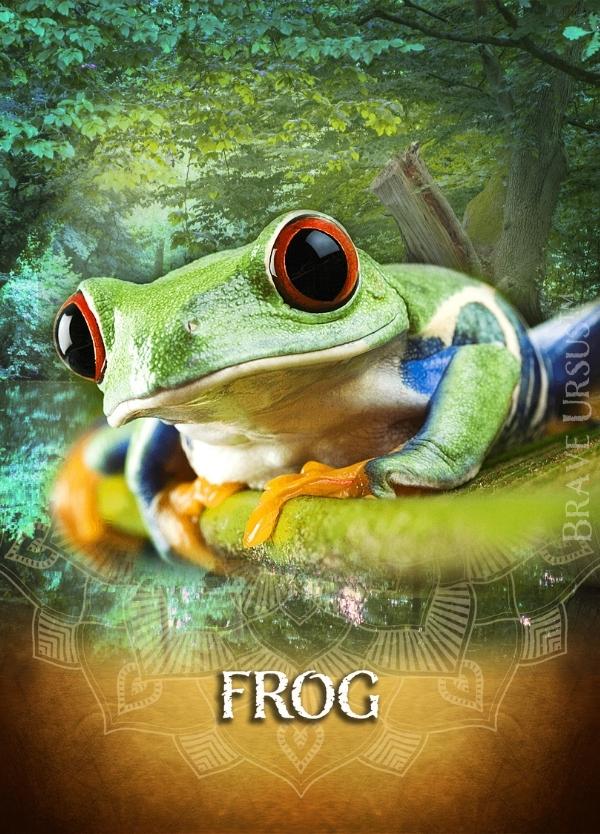 Frog Prayer & Altar Card 600x834