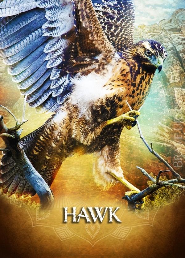 Hawk Prayer & Altar Card 600x834