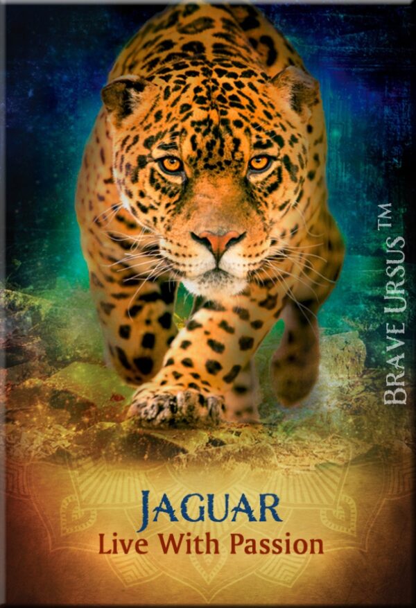 Jaguar Magnet 2x3 643x940