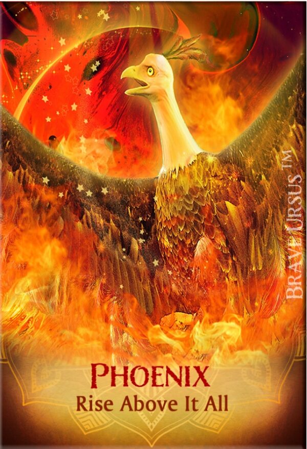 Phoenix Magnet 2x3 643x940