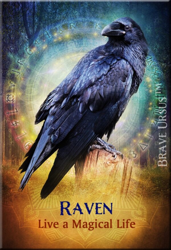 Raven Magnet 643x940