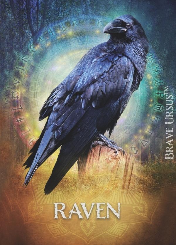 Raven Prayer & Altar Card 600x834