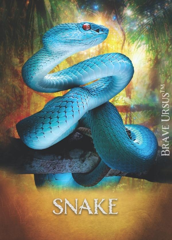 Snake Prayer & Altar Card 600x834