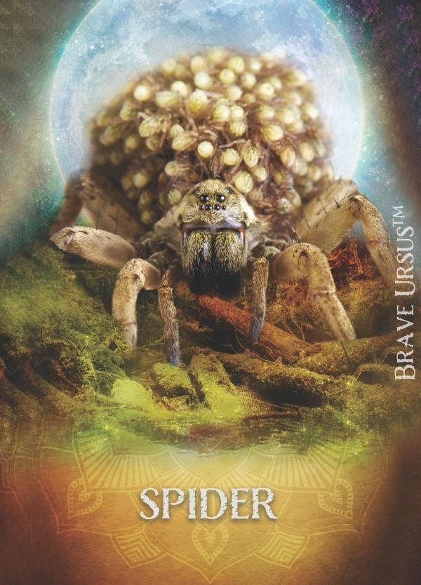 Spider Altar & Prayer Card