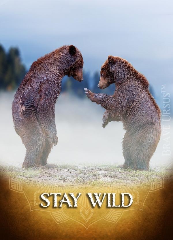 Stay Wild Prayer & Alter Card 600x834