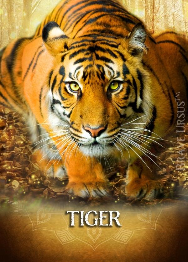 Tiger Prayer & Altar Card 600x834