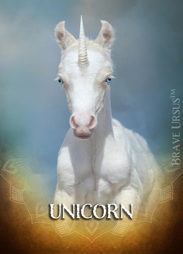 Unicorn Prayer & Altar Card 600x834