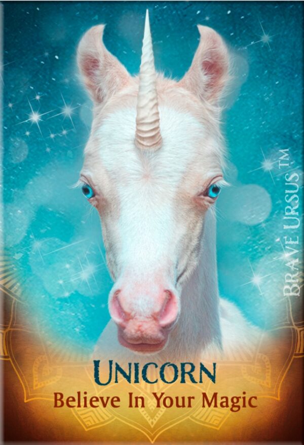 Unicorn Magnet 2x3 643x940