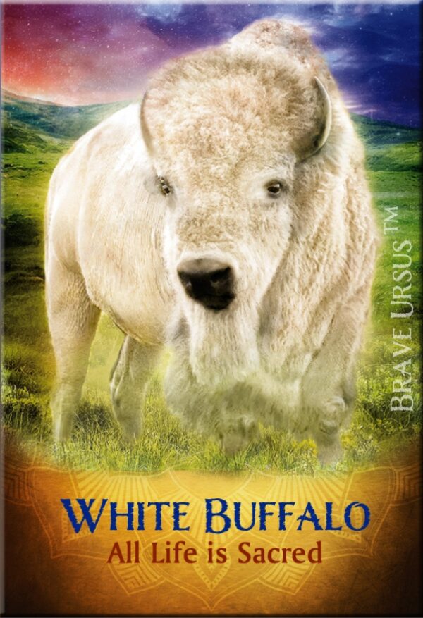 White Buffalo Magnet 643x940