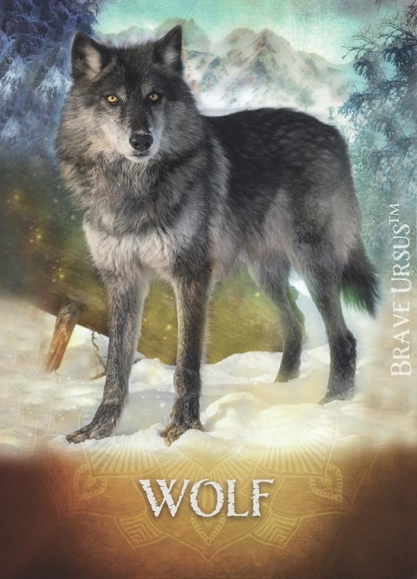 Wolf Prayer & Altar Card 600x834